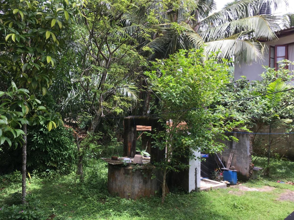 Wellington Villa Hikkaduwa Exterior foto